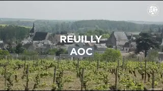 AOC REUILLY