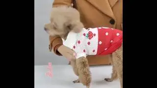 Cute Puppy Sweater | Winter Warm Dog Clothes | Perfect for Small Dogs | Costume Apparel