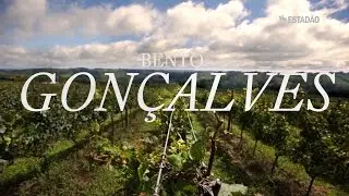 7 vinícolas para conhecer em Bento Gonçalves
