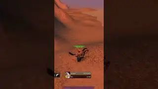 Fury Warrior | 1vs1 WoW Classic PvP | Stranglethorn Vale #3