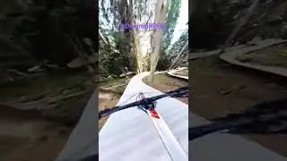 DownhillPOV