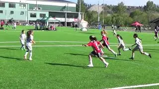 Spring 2019 RCL G10:  State Finals- WPFC Black vs Eastside FC