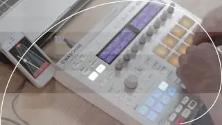 AL-PHA-X   