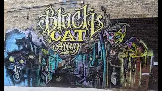 Black Cat Alley/Milwaukee