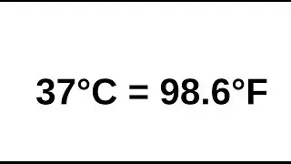 Unit Converter  //App Review//
