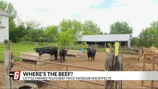 Cattle farmer talks beef price increase and effects
