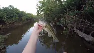 First time trying a Float Tube! Creek bass fishing