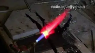 Maitre-Verrier Eddie LEGUS, Meilleur Ouvrier de France