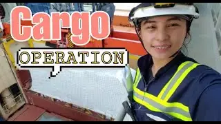 Cargo Operation