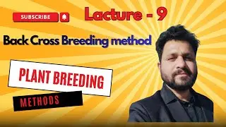 Backcross Method in Plant Breeding | Dominant & Recessive Gene Transfer |
