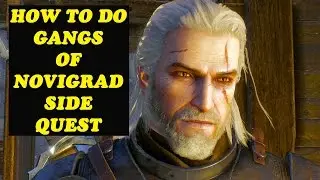 The Witcher 3 Wild Hunt - How To Do The Gangs Of Novigrad Quest [1080P]