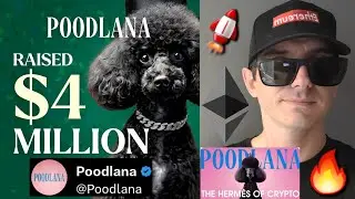 $POODL - POODLANA TOKEN PRESALE CRYPTO COIN HOW TO BUY POODL SOL SOLANA ETH BNB USDT ICO MEMECOIN