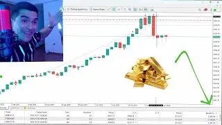 ESTRATEGIA XAUUSD - TRADING AVANZADO FOREX