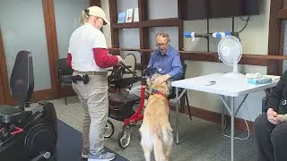 Therapy dogs visit assisted living residents at Good Samaritan Society
