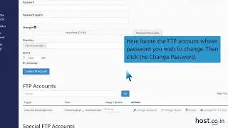How to change the password of the File Transfer Protocol FTP Account in cPanel   Host co in
