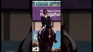 Professional horse riding in competition #viralvideo #horse #equestrian