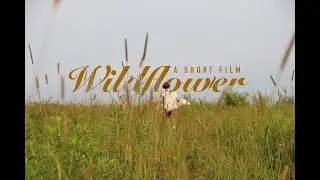 Wildflower- A Short Film (2023)
