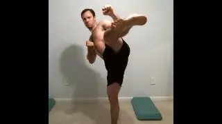 (Live) Martial Arts Home Workout (No Equipment)