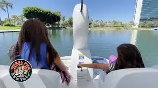 Rainbow Lagoon Swan Boats by Wheel Fun Rentals