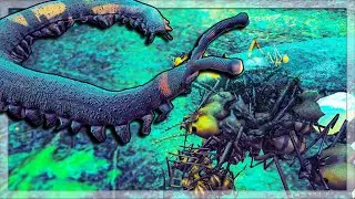 I Used LEAF CUTTER ANTS To Battle A VELVET WORM in Empires Of The Undergrowth