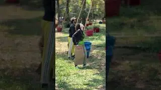 🥭 Durian Fruit Catching! 😲 Smart Harvest Technique! #shorts