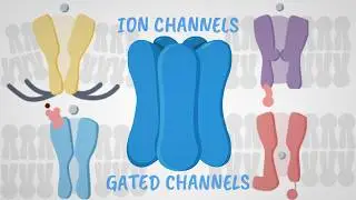 Gated Ion Channels Explained: Ligand, Voltage, Phosphorylation & Mechanical