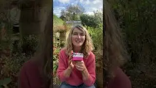 Tipper's Pick of the Week - Wild Rose Beauty Balm