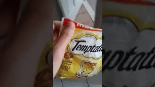 Shaking Temptations Cat Treats to Find my Cat