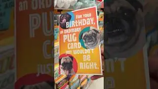 Puppy so funny Pug happy birthday card I found at the local store