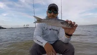 Cut Bait Tips For Catching Redfish