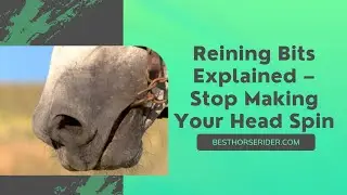 Reining Bits Explained &ndash; Stop Making Your Head Spin