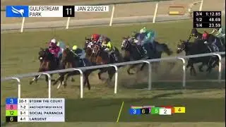 Pegasus World Cup Turf (G1) - COLONEL LIAM Winner...