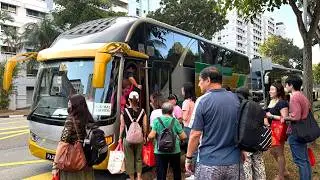 CNY Shopping Frenzy In SG (2026)