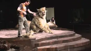Ice Age Encounter