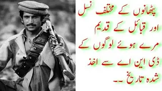 The Complete History of Pathans|| پٹھانوں کی مکمل تاریخ ||