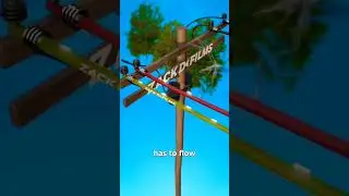 How birds avoid electrocution ⚡️🐦#facts #science #zackdfilms #animation