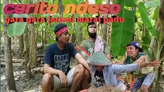 Cerito ndeso || gara gara jerami marai padu || muwat mawut