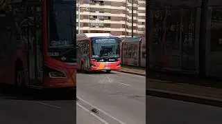 MAN Lion's City 12m realizado la L&iacute;nea 411B de CTAZ
