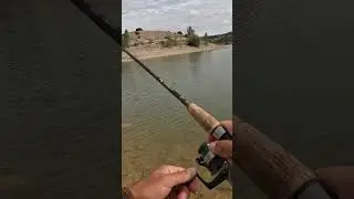#coversong #singing #80smusic #fishing #pesca ##fish #bassfishing #bass #lake #spinning #jigging