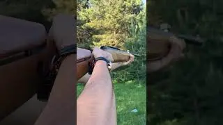 Hatsan mod 135 qe vortex #airrifleshooting #airriflehunting #hunting #havalıt&uuml;fek #airgun #spoton