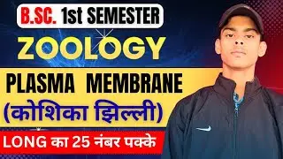 Plasma Membrane | Bsc 1st Semester Zoology Important Topic | Bsc 1st Year 1st Semester 