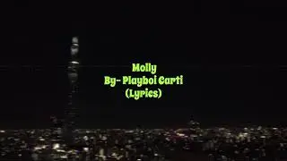 Playboi Carti UNRELEASED-Molly(lyrics)