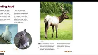 Athabascans: Finding Food
