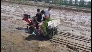 Paddy field single wheel high-speed seedling transplanter display...