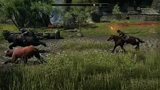 Relaxing ESO Ambient Sounds and Music Greenshade