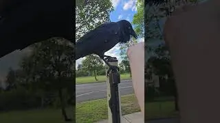 спектр, который мы видим...