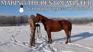 What I Do With My Horses in the Winter (Cold, Frozen Ground, Short Days)