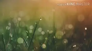 Gershon C. Sajelan- SA PUSO KO'Y IKAW (Lyrics Acoustics Version)