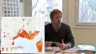 Pr&eacute;sence Locale du Moustique