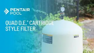 How to Safely Service a Pentair Quad DE